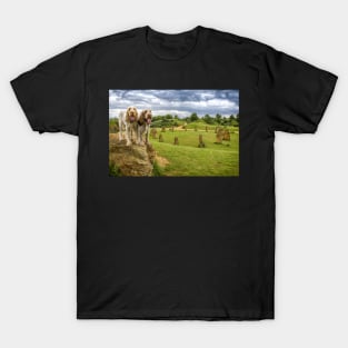 Dogs on a Rock Spinoni T-Shirt